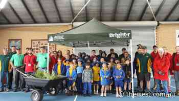 Men’s Shed, Bunnings, Geraldton Primary School join forces for tree planting day - The West Australian