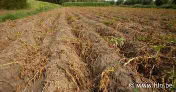 Pidpa biedt Kempense landbouwers gratis irrigatiewater aan | Balen | hln.be - Het Laatste Nieuws