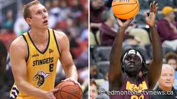 Edmonton Stingers' success built from local connections - CTV News Edmonton