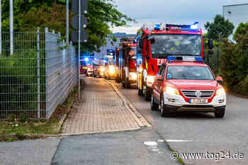 Feuerwehr Chemnitz rückt in Waldbrandgebiet Sächsische Schweiz aus - TAG24