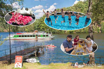 Raus vor die Tür mit unseren Sonntagstipps nach Chemnitz und in die Umgebung - TAG24