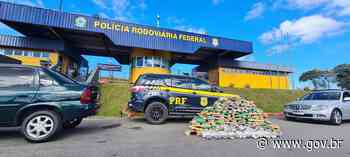 285kg de drogas são apreendidos em Barra do Turvo/SP - Portal Gov.br