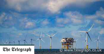 Hit pause on Net Zero, Tory voters advise next prime minister - The Telegraph