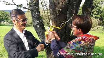 Fulda: Gemeinde Petersberg beteiligt sich an Ernteaktion Gelbes Band - Fuldaer Zeitung