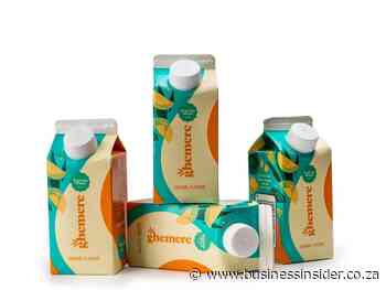 This entrepreneur quit her job in gas and oil to make a ginger beer, now it is in big stores - Business Insider South Africa