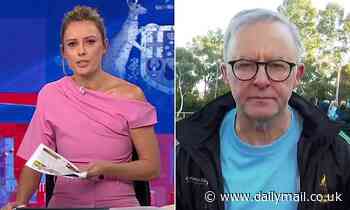 Ally Langdon hammers Anthony Albanese with a VERY curly question about 'dodgy as hell' politicians - Daily Mail