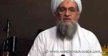 No safe haven for terrorists: Albanese - Western Advocate