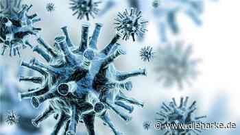 Landkreis Nienburg: 192 weitere Infektionen mit dem Corona-Virus - DIE HARKE