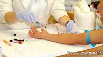 Sanità: riaprono i centri prelievi di S. M. Nuova e di Sesto - LA NAZIONE