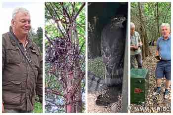 Junge Greifvögel gerettet und aufgepäppelt