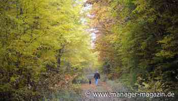 Mifid II: EU-Richtlinie tritt in Kraft, Finanzberatung wird grün - das müssen Sie wissen