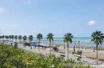 Vacanze in Molise, Termoli verso il sold out nel weekend di ferragosto: 'vendute' il 98% delle disponibilità - Il Quotidiano del Molse