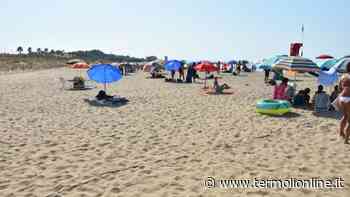 Cani in spiaggia, tra zone promiscue da delimitare e bagni vietati - Termoli Online