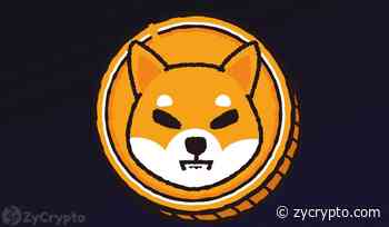 Shiba Inu Flips Tron (TRX) As SHIB’s Metaverse Gathers Pace - ZyCrypto