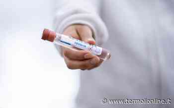 Covid: nel Molise 324 contagi e 224 guariti - Termoli Online