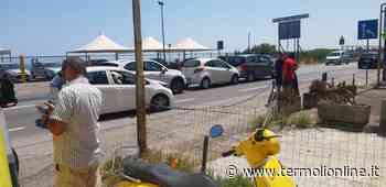 Tamponamento a catena in via Corsica - Termoli Online