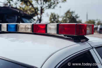 5 children killed in head-on crash on Illinois highway