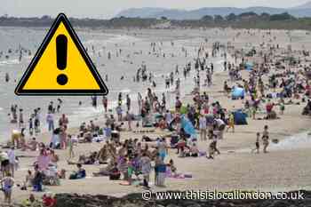 RNLI issue warning to UK beach-goers over weever fish capable of making 'grown men cry'