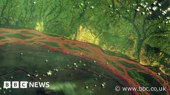 The space tech helping to tackle deforestation