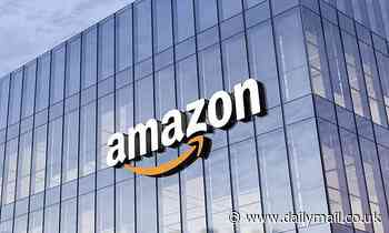 Amazon's CO2 emissions are INCREASING: Retail giant's carbon footprint has risen 40% since 2019