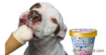 Gourmet Dog Treats We'd Totally Sneak a Bite Of     - CNET