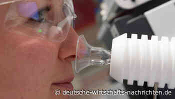 Symrise profitiert von starker Nachfrage nach Kosmetik und Haustiernahrung