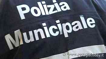 Foligno, litiga per strada con un altro uomo e picchia la polizia municipale: arrestato - PerugiaToday