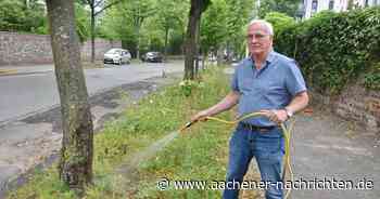 Klimaschutz in heißen Tagen: Aachener Ex-Ratsherr fordert Pflicht fürs Bäumewässern