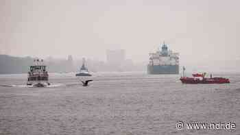 Fernwärmetunnel unter der Elbe: Bau startet diese Woche - NDR.de