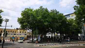 Bäume am Bahnhofsvorplatz sollen gefällt werden: Kritik vom Klimacamp
