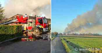 Grote brand in varkensbedrijf | Kasterlee | hln.be - Het Laatste Nieuws