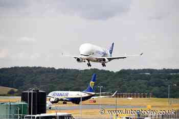 Watch as Luton airport gets flying visit from massive airbus Beluga XL - Luton Today