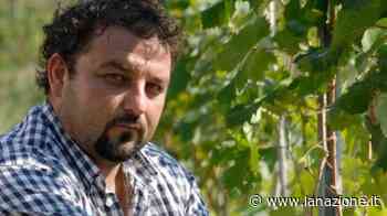 Massa Carrara, il vino Candia fa il giro del mondo. Da contadini a enologi stellati - LA NAZIONE