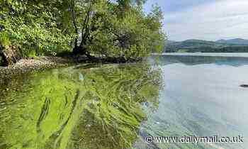 UK government to only publish seven of the 24 environmental indicators for England this year