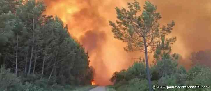 Canicule et incendie: Après Landiras et La Teste-de-Buch en Gironde, de nouveaux feux de forêt se sont déclarés dans le sud de la France comme à Mano (Landes) et à Santo Pietro di Tenda (Haute-Corse) - Le Blog de Jean-Marc Morandini