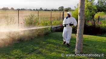 Modena, obbligo di trattamenti contro le zanzare per prevenire West Nile - ModenaToday