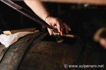 Aceto Balsamico di Modena IGP: dalla filiera certificata 1 miliardo di valore al consumo - SulPanaro