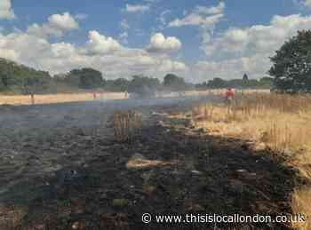 Warning after grassland destroyed in Leytonstone fire