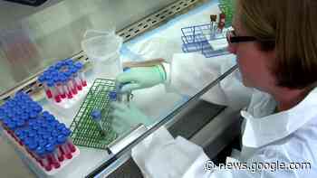 Polio found in New York wastewater - Reuters