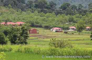 Dindigul forest wildlife survey finds common langurs in Kannivadi, Batlagundu - The New Indian Express