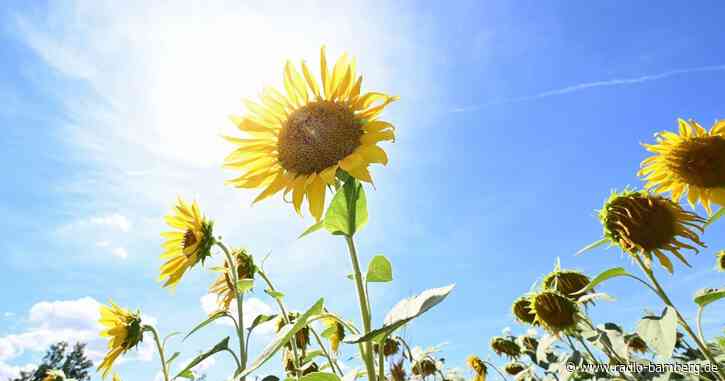 Fast 40 Grad am Donnerstag in Deutschland