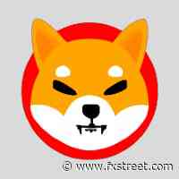Shiba Inu Price Prediction: This new scenario could solve the equation - FXStreet
