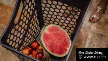 Grosse wirtschaftliche Unsicherheit im Euro-Raum