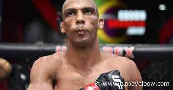 Fights on Tap: Edson Barboza vs. Ilia Topuria among 9 UFC bouts announced - Bloody Elbow