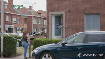 Ruzie over hond mondt uit tot schietpartij in Tongeren - TV Limburg