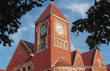 Amherst council rejects zoning appointee over pro-abutter views - Amherst Bulletin