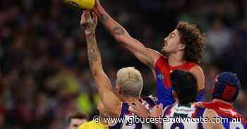 Demons plead with Jackson for commitment - Gloucester Advocate
