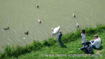 An Enten besser Obst und Haferflocken verfüttern