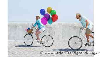 Radfahren mit Hämorrhoiden: Mit dem richtigen Sattel ist das möglich