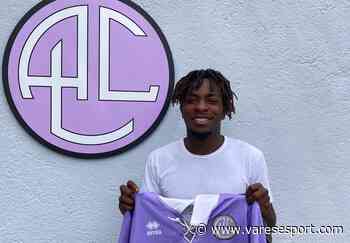 Legnano e Castanese non-stop: una freccia per mister Palo, un ala per Molluso - VareseSport